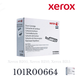 DRUM XEROX 101R00664